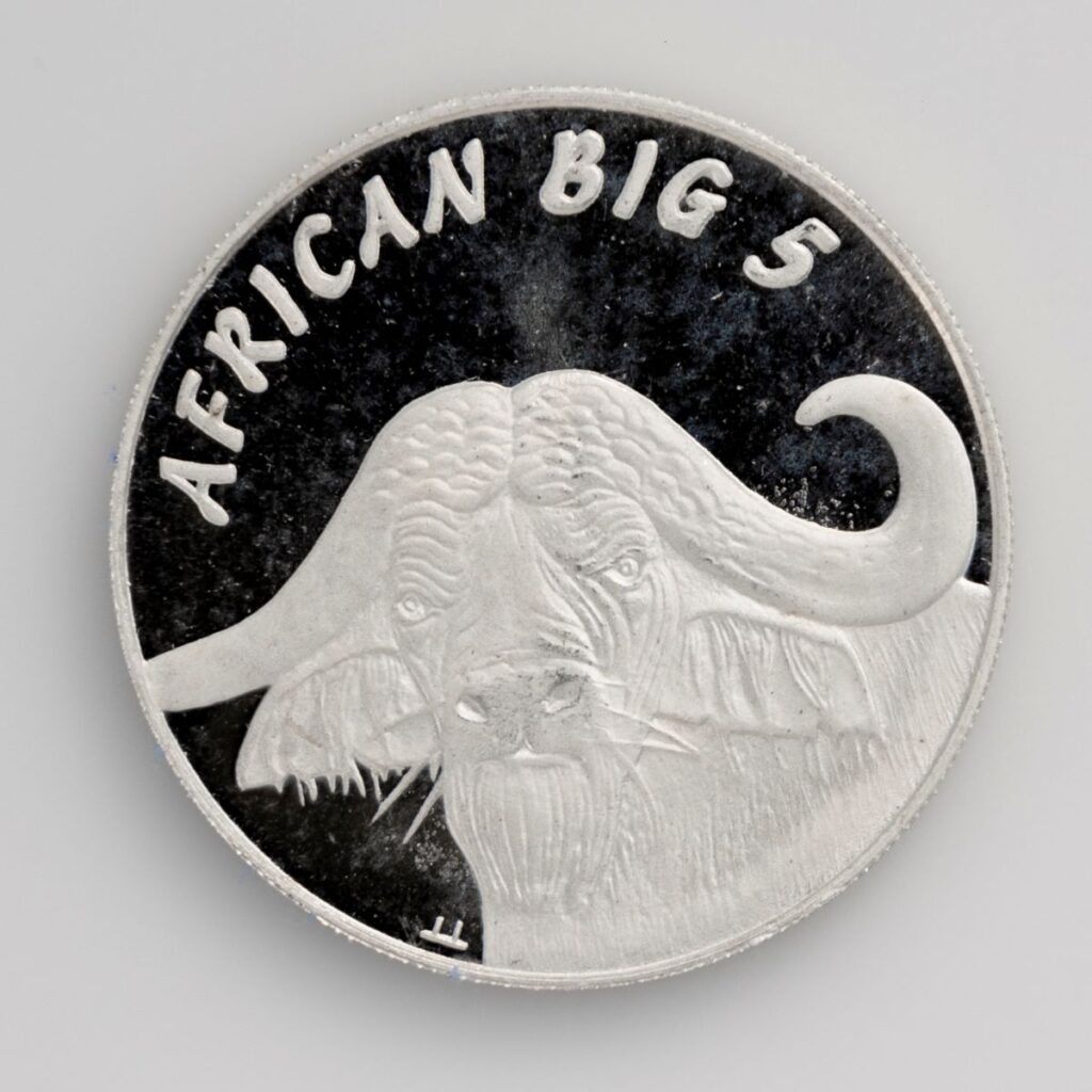 African Big 5 -Buffalo