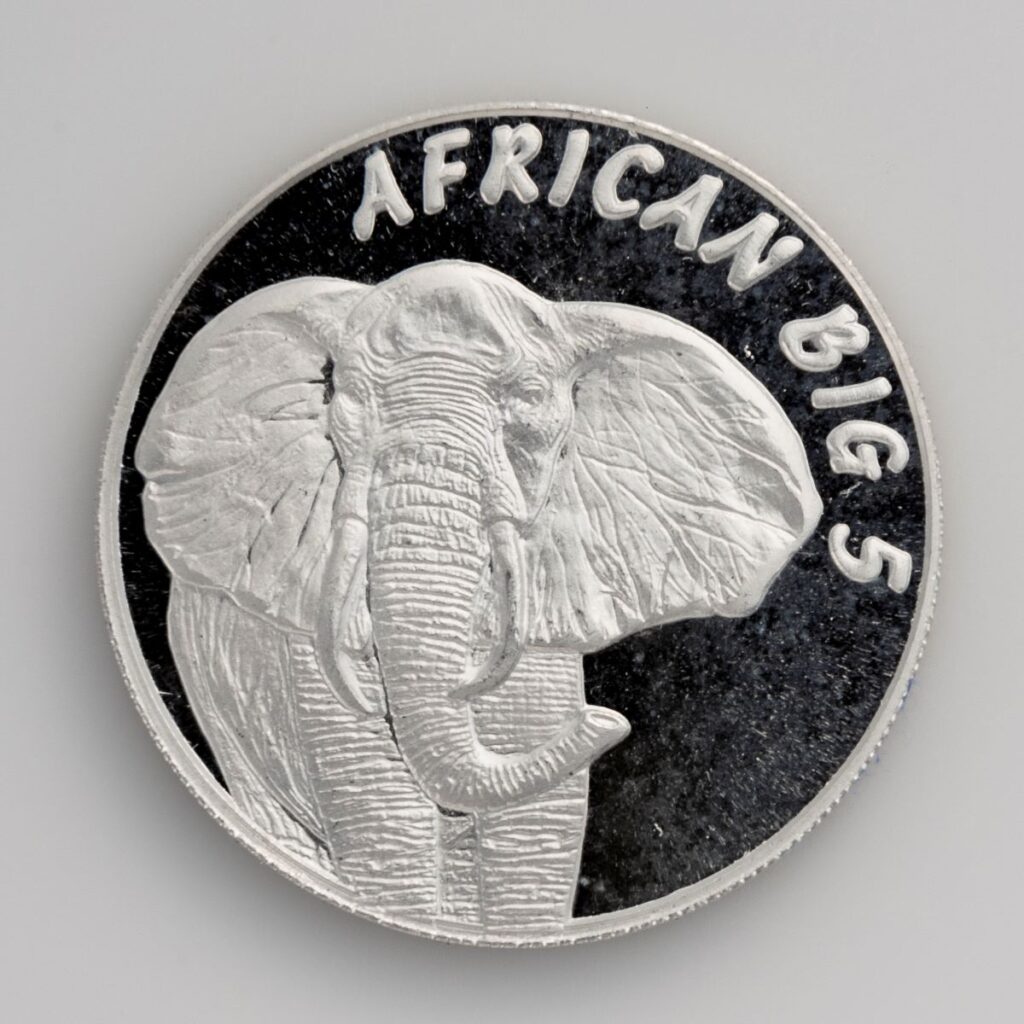 African Big 5-Elephant