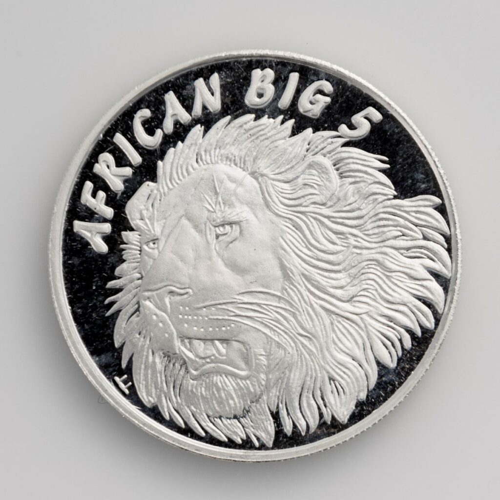 African Big 5 -Lion