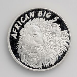 African Big 5 -Lion