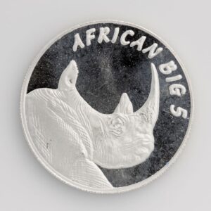African Big 5-Rhino